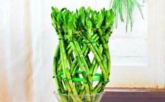 2019年农历六月初五日子是不是祭祀吉日，今天上坟祭祖合适吗？