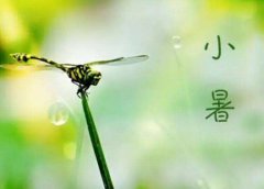 2019年阴历六月初五小暑适合动土装修吗,小暑如何祛暑？