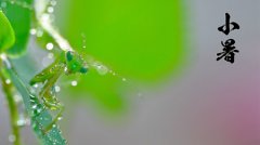 2019年7月7日小暑搬家入宅吉利吗,搬家第一天有何讲究？