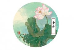 小暑结婚好吗？有人在大暑小暑结婚吗？