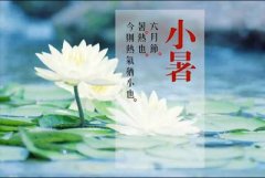 2019年小暑日子好吗？小暑是入伏吗？