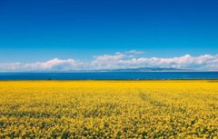 2019年农历六月有30天吗,农历六月适合去哪里旅游?