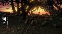 2019年6月16日父亲节酉时出生的命不好吗？