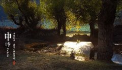 2019年6月16日父亲节申时出生的命运解析