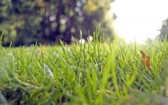 2019年农历七月廿三日处暑节气是签约吉日吗？