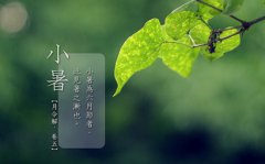 2019年小暑农历六月初五出生的男孩是什么命？