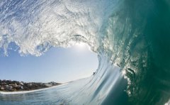 农历六月出生的猪宝宝命运好不好，属猪几点出生较好命？