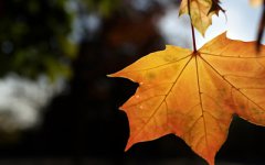 2019年农历七月初二日是签订合约的好日子吗？