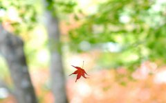 2019年农历七月初五日子好不好,适合签约吗?