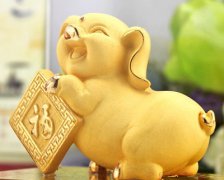 金猪家居怎么摆放风水才会好?
