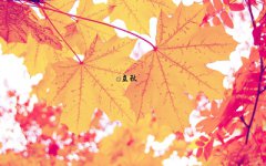 2019年农历七月初八日立秋节气是签约吉日吗？