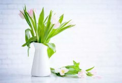 2019年农历六月二十三日子好吗,今天日子是不是黄道吉日？