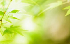 2019年夏至日出时间是几点几分,夏至下一个节气是什么？