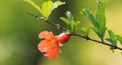 2019年农历七月初一日子好吗适合出行吗？