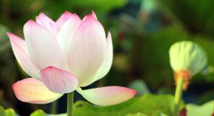 2019年农历七月二十日子好吗出行出远门合适吗？