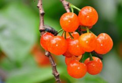 2019年阴历六月十六出殡合适吗,这一天的卦象怎么样？