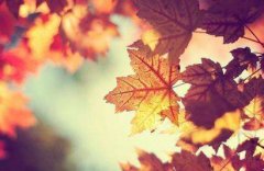 2019年农历七月初九是什么日子出远门好不好？