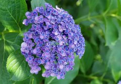 2019年农历六月十五今天出殡日子合适吗,出殡有何禁忌？