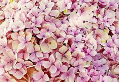 2019年阴历六月十五今天是祈福好日子吗,今日卦象怎么样？