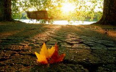 2019年农历七月廿三日处暑节气可以求嗣吗？预产期什么时候？