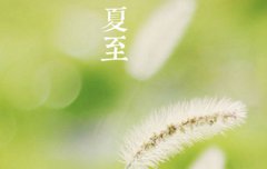 夏至防暑需要注意什么,夏至不同地区吃什么传统食物？