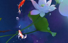 2019年夏至养生需要注意什么,夏至三候是什么意思？