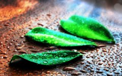 2019年6月21日夏至节气丑时出生的人是什么命？