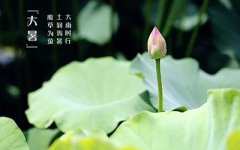 2019年农历六月廿一日大暑节气是几号，适合装修动土吗？