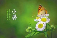 2019年农历六月初五日小暑节气是签约吉日吗？