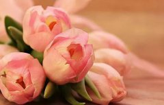 2019年小暑后一天农历六月初六祈福好吗,今日卦象不好吗？