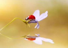 2019年阴历六月初七日子适合祈福吗,今天卦象怎么样?