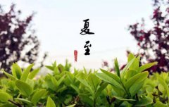 2019年6月21日夏至出殡合适吗,夏至是夏天开始标志吗？