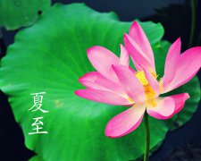 2019年6月21日夏至迎亲嫁娶好吗,2019夏至办酒席结婚吉利吗？