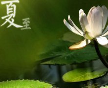 2019年农历五月十九夏至动土盖房子好吗,夏至不是较热的吗？