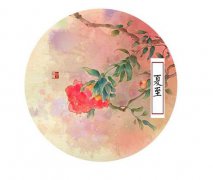 夏至应该如何养生？夏至养生食谱推荐