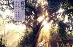 2019夏至是具体时辰是多少?夏至过第一个庚日怎么算?