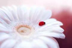 2019年农历六月初二日子是不是黄道吉日,今天日子好吗？