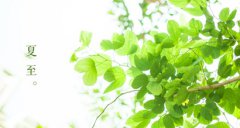 2019年夏至有什么说法，夏至下雨好不好？