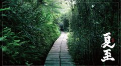 2019年夏至出生的女孩好不好，夏至出生命理和运势解析！