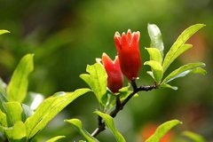 2019年农历六月十一日子怎么样适合出远门吗？