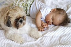 2019年农历六月廿二日求嗣行吗？预产期什么时候？