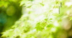 2019年夏至日出时间日落时间是什么时候？