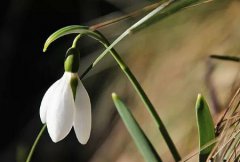 2019年阴历六月十一今天的日子是不是迁坟的黄道吉日？