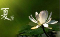 2019年夏至后第三个庚日入伏是哪天，夏至三庚数头伏的意思