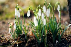 2019年五月十九夏至日适合理发吗今日卦象怎么样？