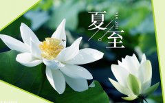 2019夏至黄历查询，夏至不能做什么