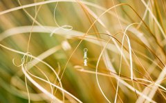 2019夏至什么时候开始什么时候结束？