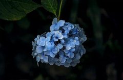 2019年阴历六月初四小暑节气前一天适不适合祈福拜拜？