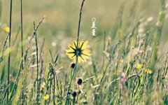 夏至节气的含义是什么？夏至不能吃饺子吗？