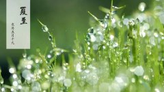 夏至禁忌有哪些，夏至后几天入伏？